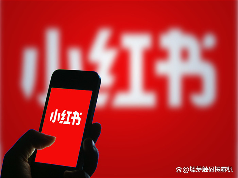 快手粉丝